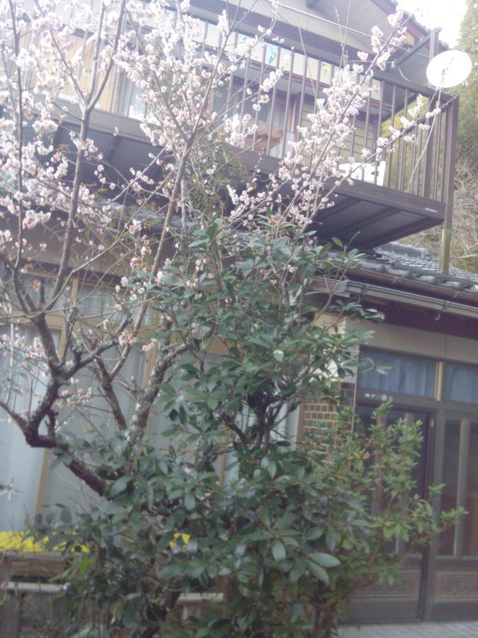 Raibrasil Guest House Sanuki  Екстериор снимка